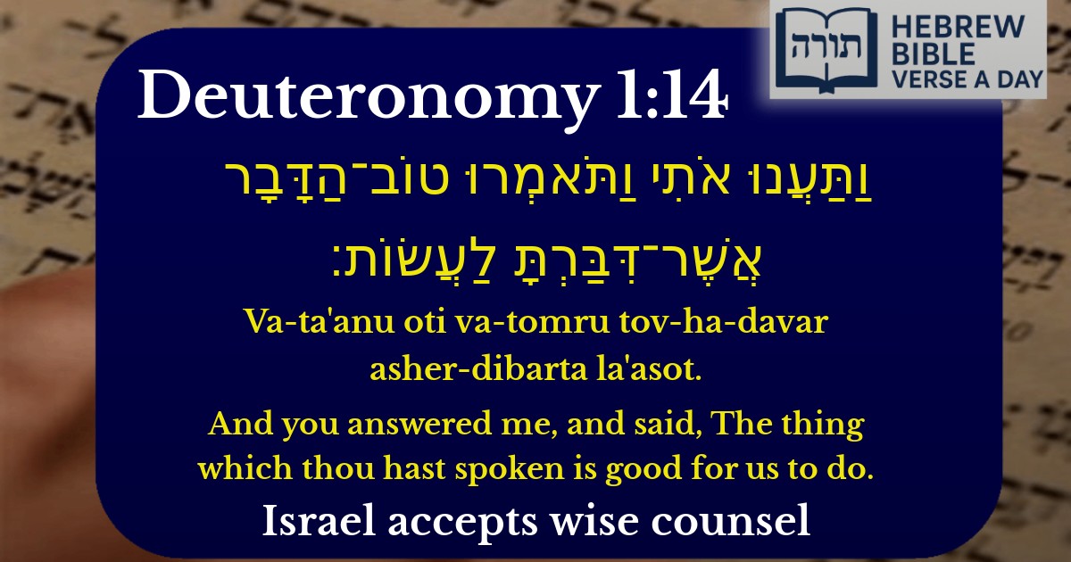 Deuteronomy 1:14 - דברים 1:14