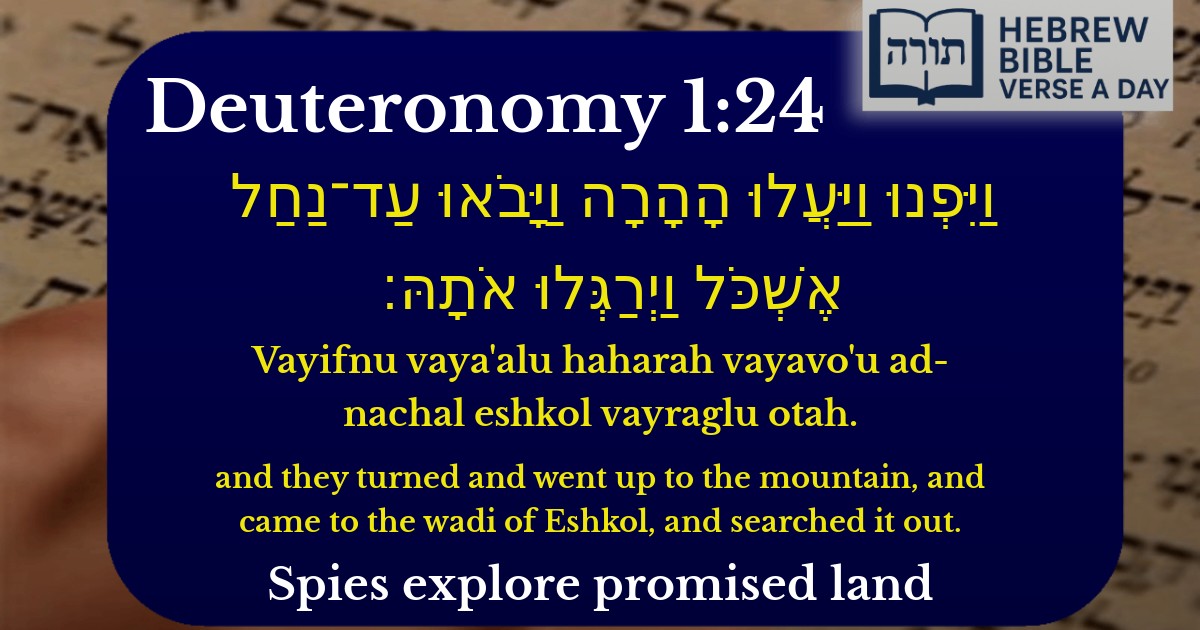 Deuteronomy 1:24 - דברים 1:24