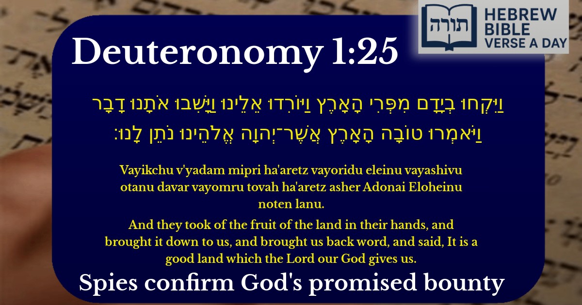 Deuteronomy 1:25 - דברים 1:25