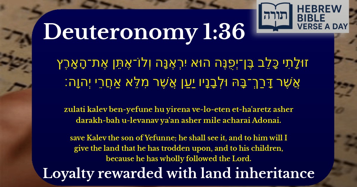 Deuteronomy 1:36 - דברים 1:36