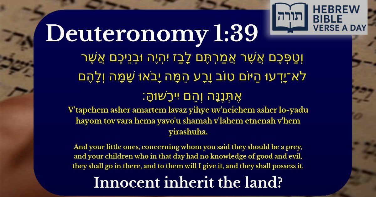 Deuteronomy 1:39 - דברים 1:39