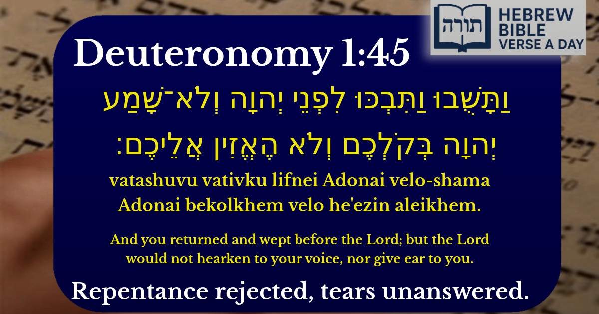 Deuteronomy 1:45 - דברים 1:45