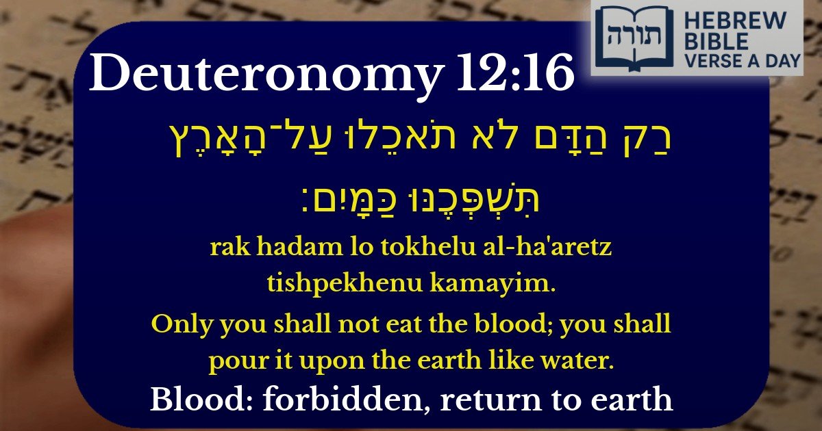 Deuteronomy 12:16 - דברים 12:16