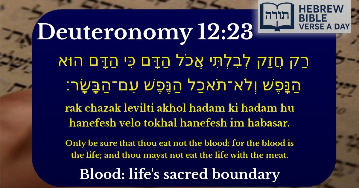 Deuteronomy 12:23 - דברים 12:23