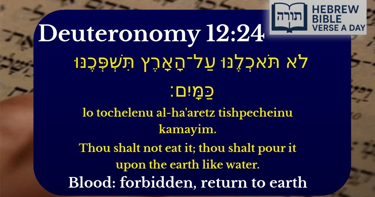 Deuteronomy 12:24 - דברים 12:24