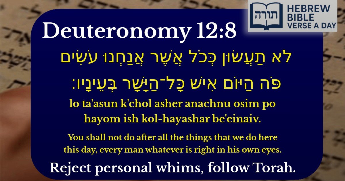 Deuteronomy 12:8 - דברים 12:8