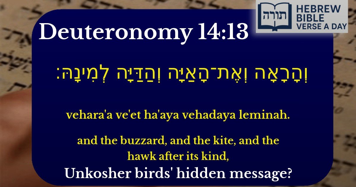 Deuteronomy 14:13 - דברים 14:13
