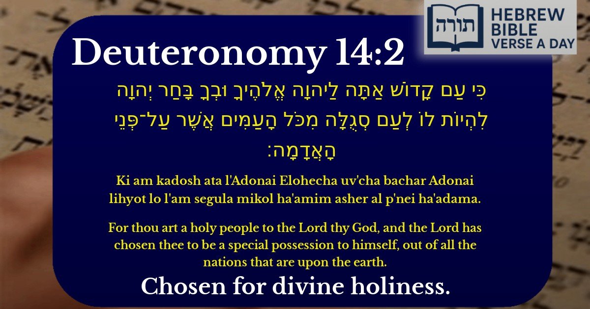 Deuteronomy 14:2 - דברים 14:2