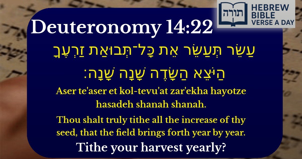 Deuteronomy 14:22 - דברים 14:22