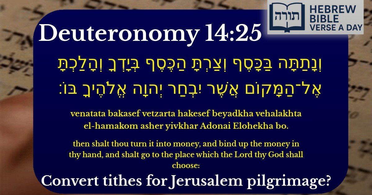Deuteronomy 14:25 - דברים 14:25