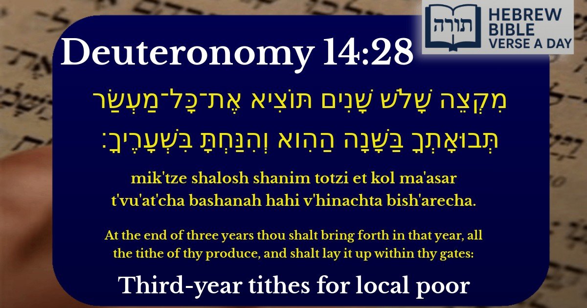 Deuteronomy 14:28 - דברים 14:28