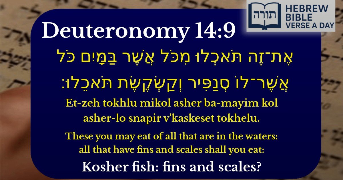 Deuteronomy 14:9 - דברים 14:9