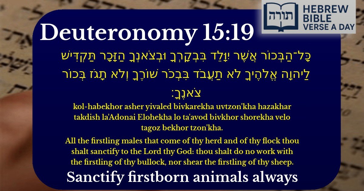 Deuteronomy 15:19 - דברים 15:19