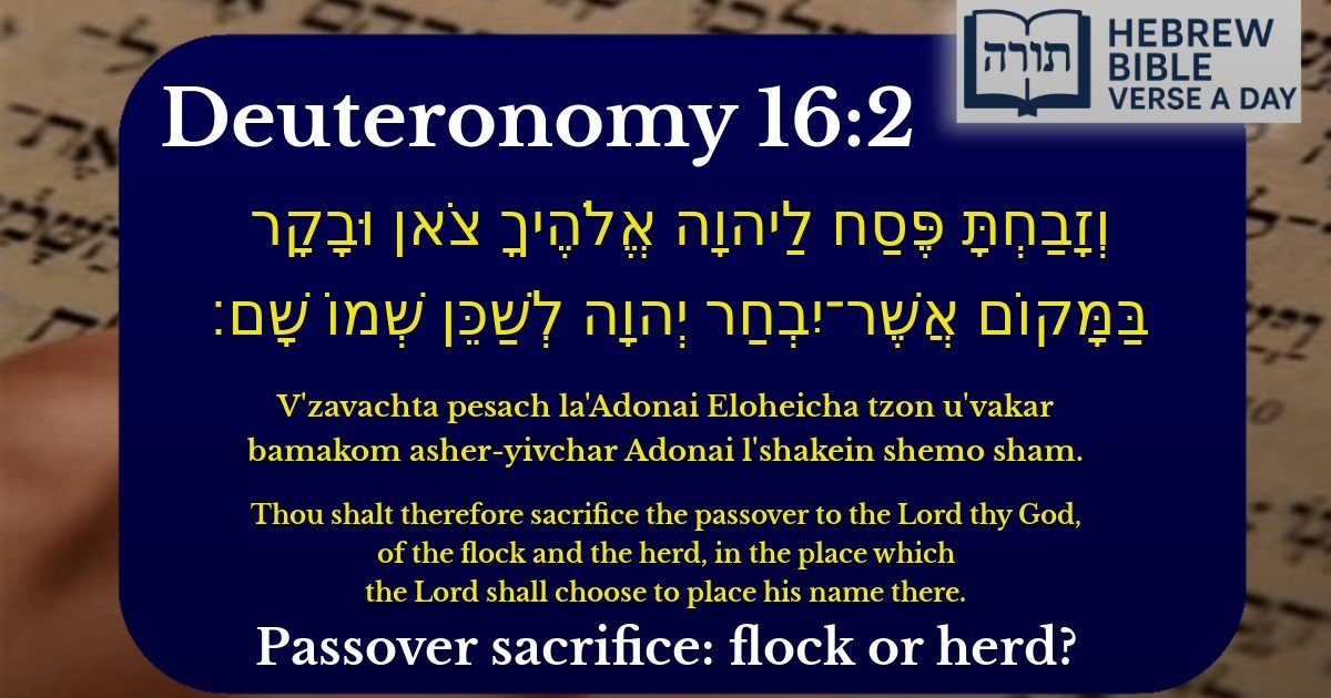 Deuteronomy 16:2 - דברים 16:2