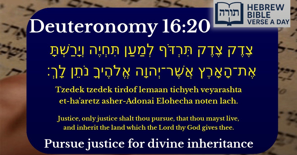 Deuteronomy 16:20 - דברים 16:20