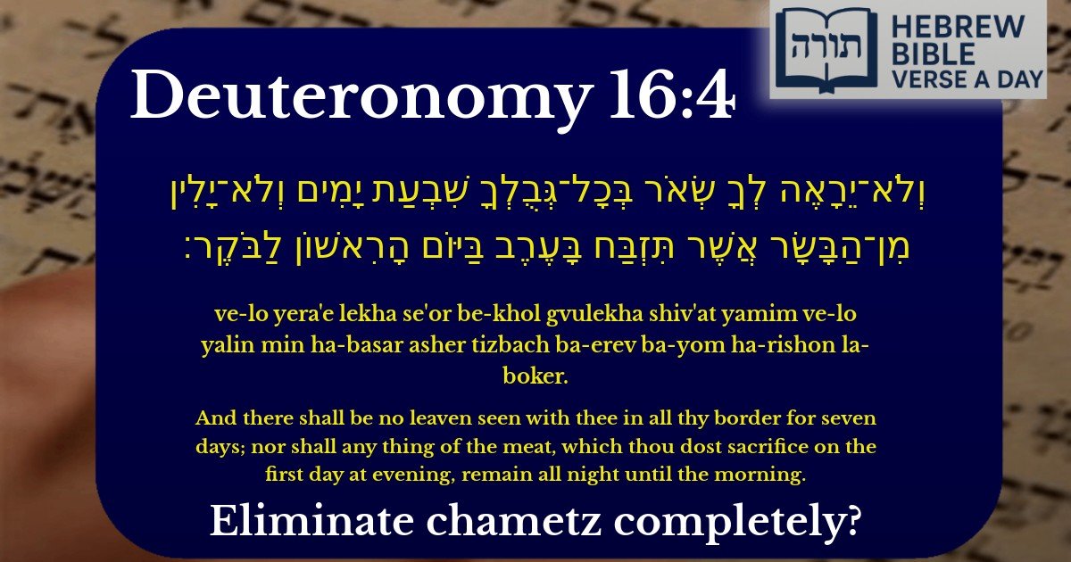 Deuteronomy 16:4 - דברים 16:4