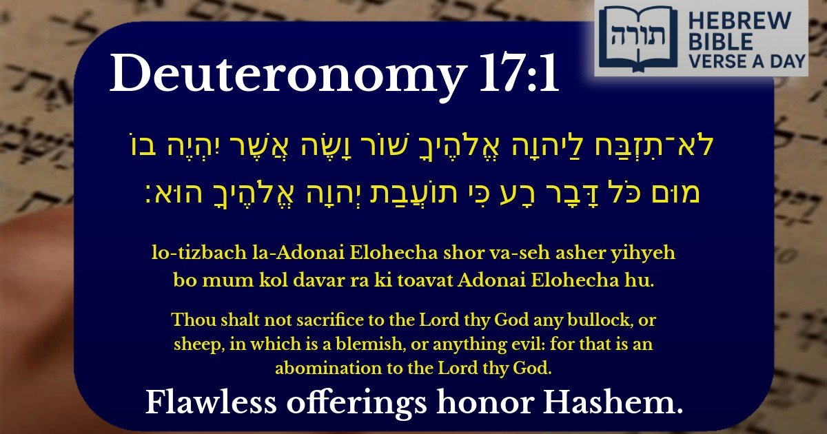 Deuteronomy 17:1 - דברים 17:1