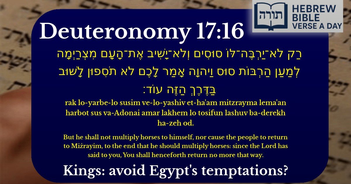 Deuteronomy 17:16 - דברים 17:16