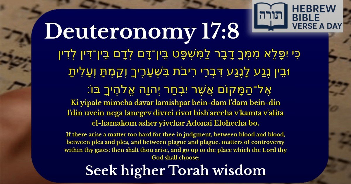 Deuteronomy 17:8 - דברים 17:8