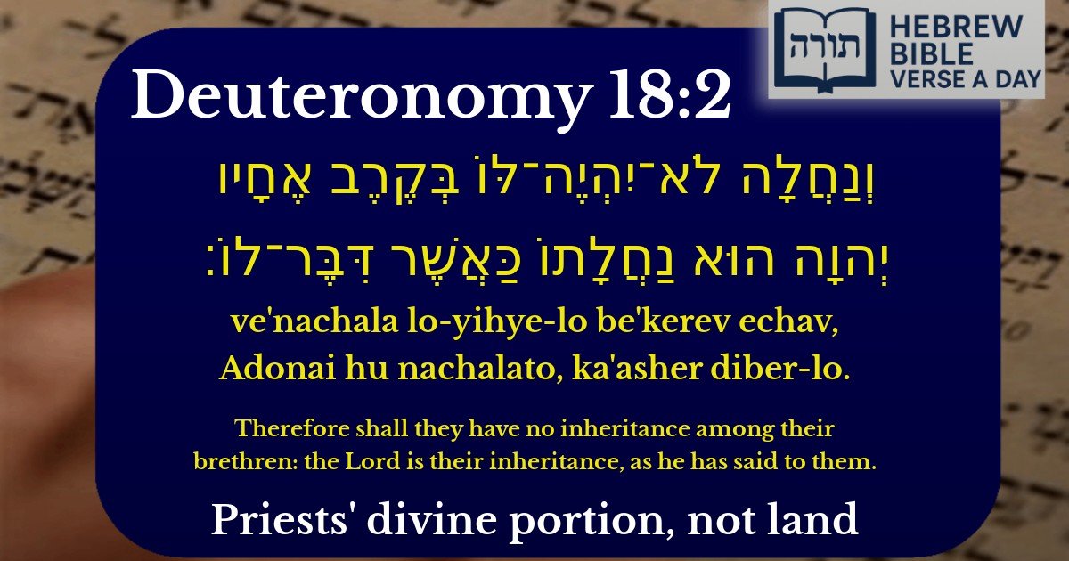 Deuteronomy 18:2 - דברים 18:2