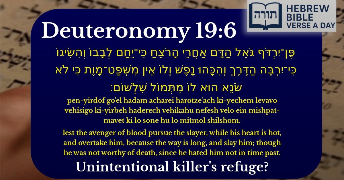 Deuteronomy 19:6 - דברים 19:6