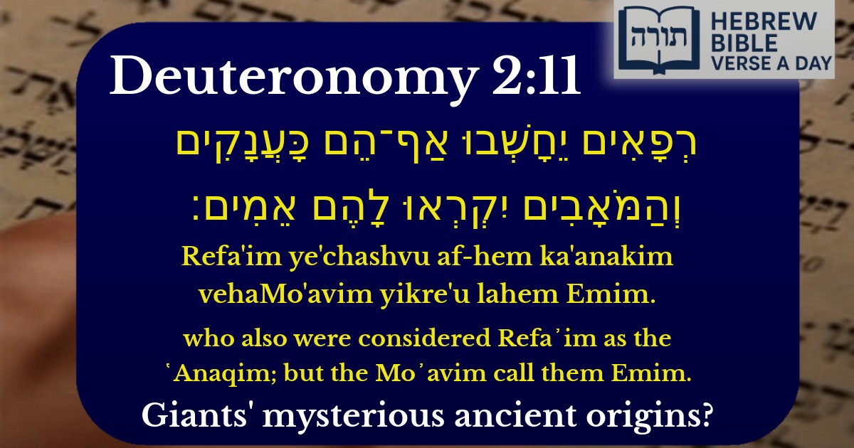 Deuteronomy 2:11 - דברים 2:11