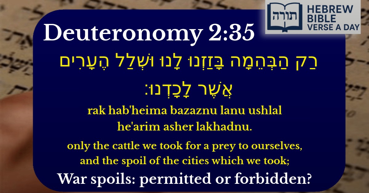 Deuteronomy 2:35 - דברים 2:35
