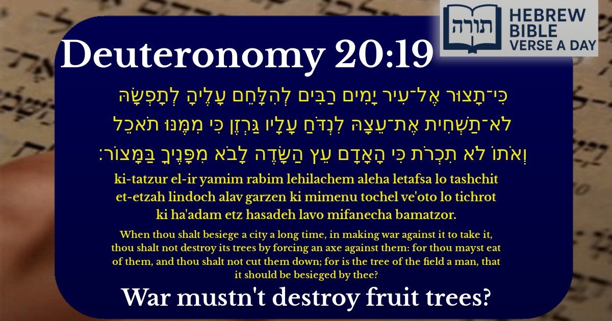 Deuteronomy 20:19 - דברים 20:19