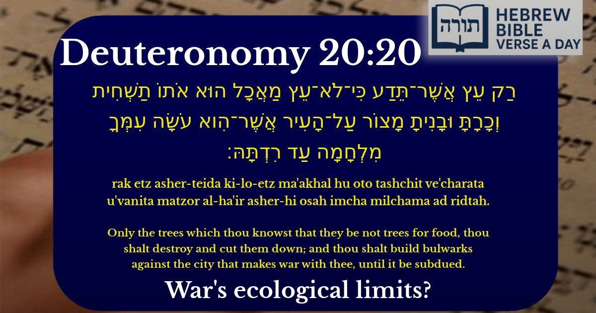 Deuteronomy 20:20 - דברים 20:20