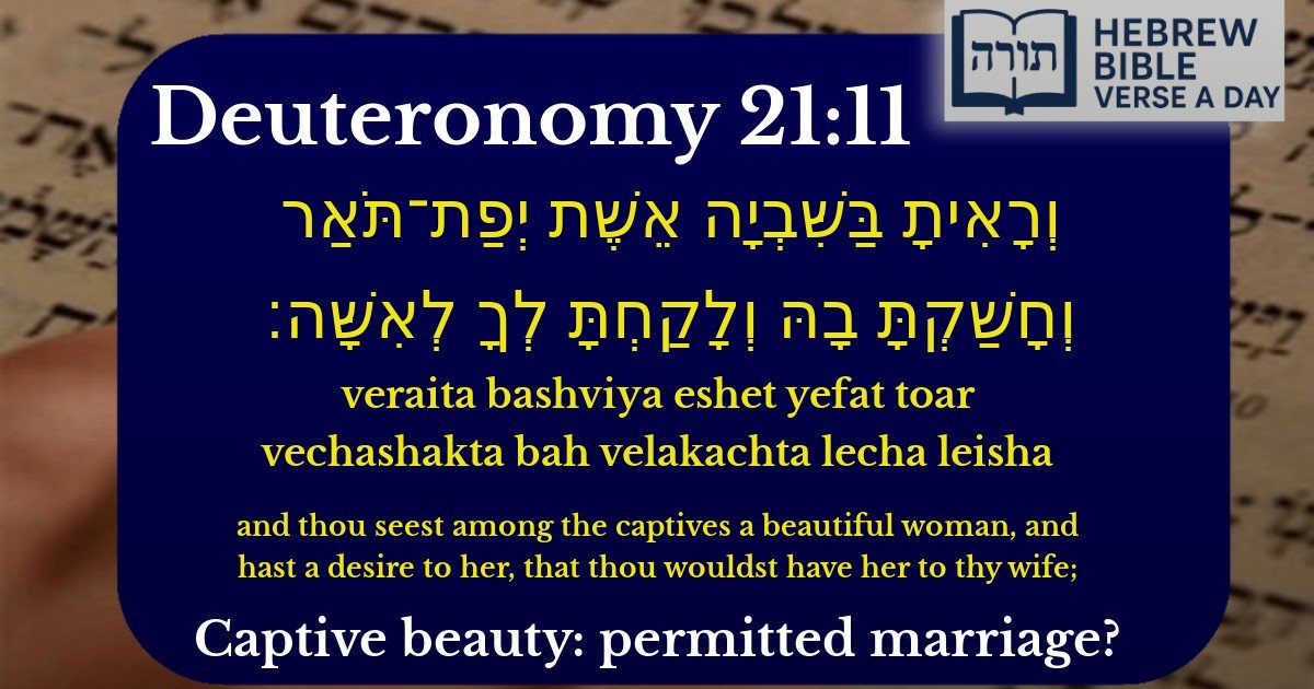 Deuteronomy 21:11 - דברים 21:11