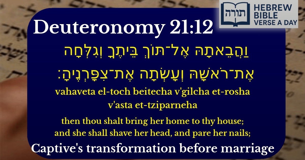 Deuteronomy 21:12 - דברים 21:12