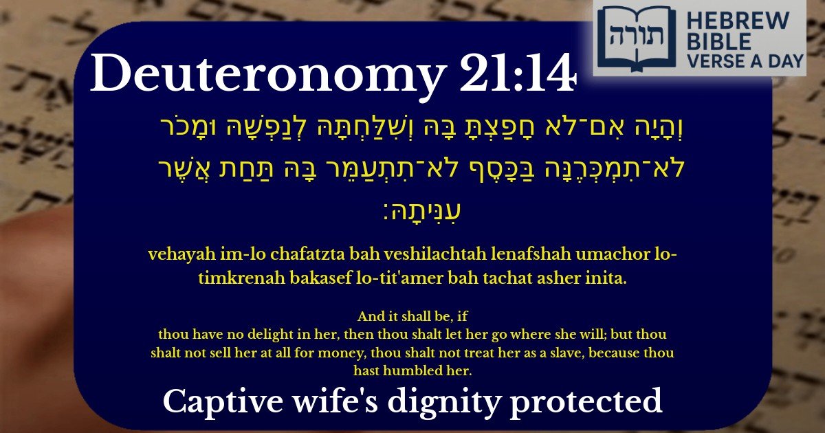 Deuteronomy 21:14 - דברים 21:14