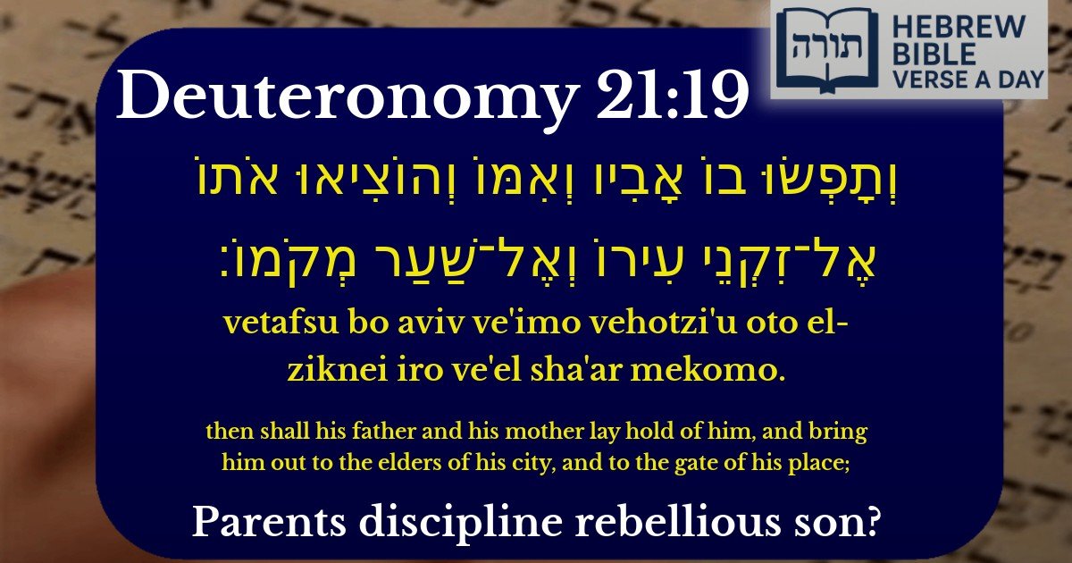 Deuteronomy 21:19 - דברים 21:19