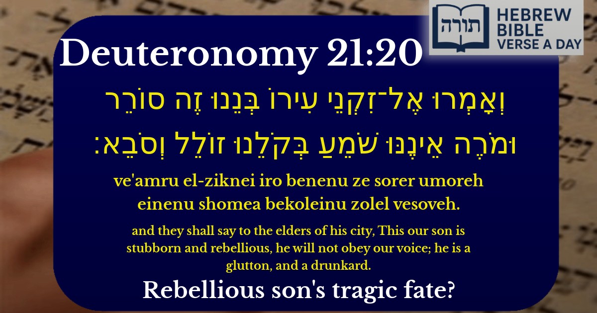 Deuteronomy 21:20 - דברים 21:20
