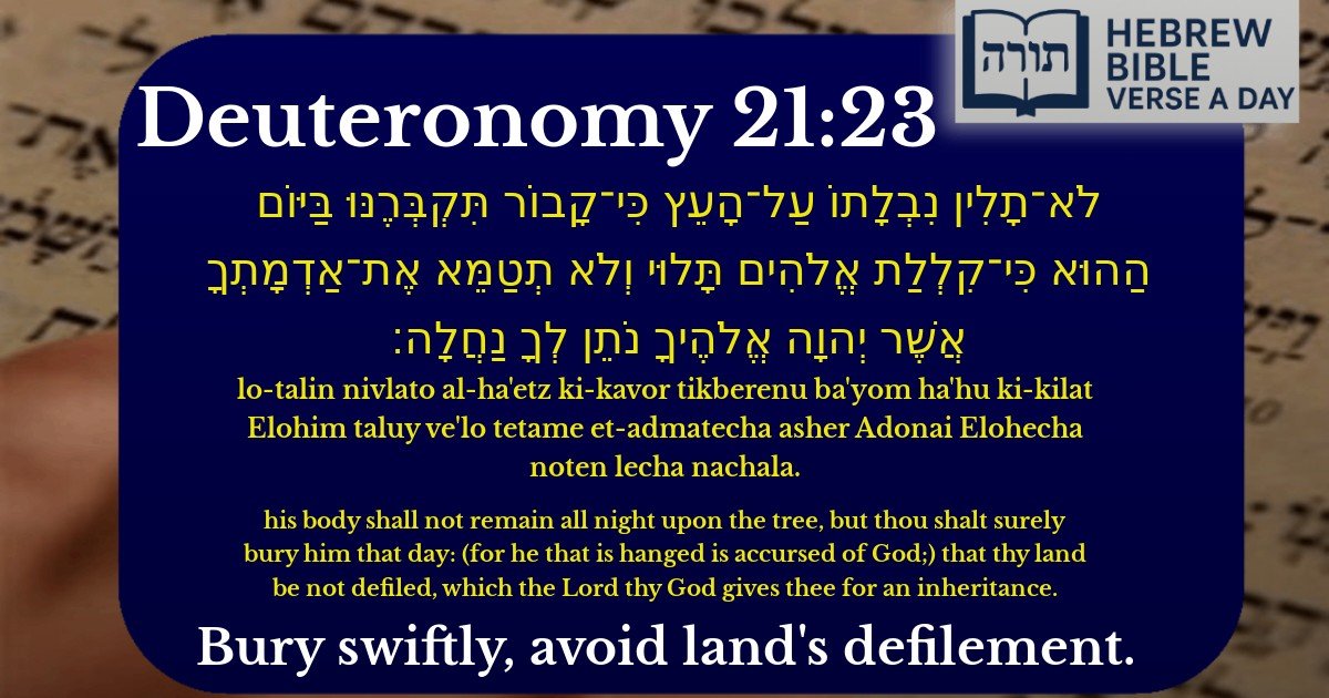 Deuteronomy 21:23 - דברים 21:23