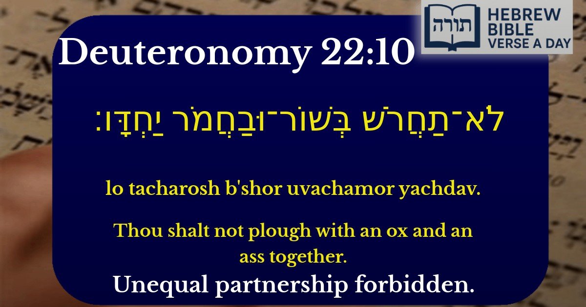 Deuteronomy 22:10 - דברים 22:10