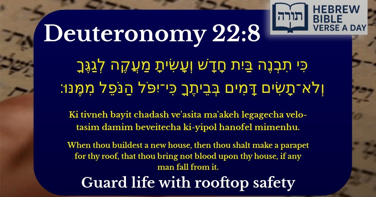 Deuteronomy 22:8 - דברים 22:8