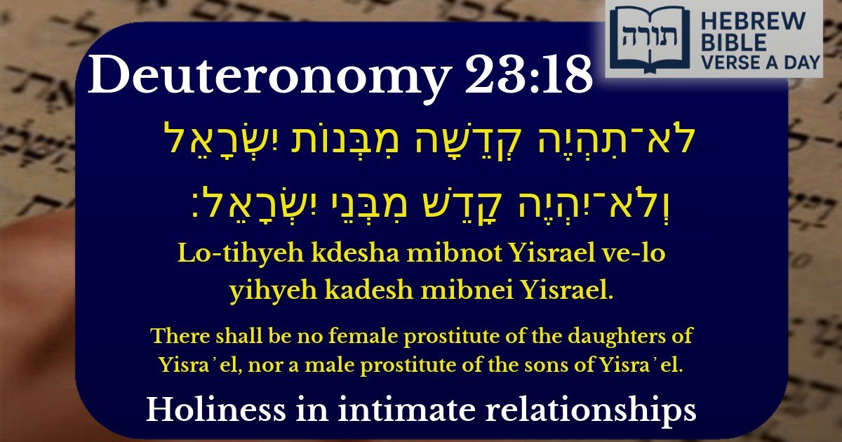 Deuteronomy 23:18 - דברים 23:18