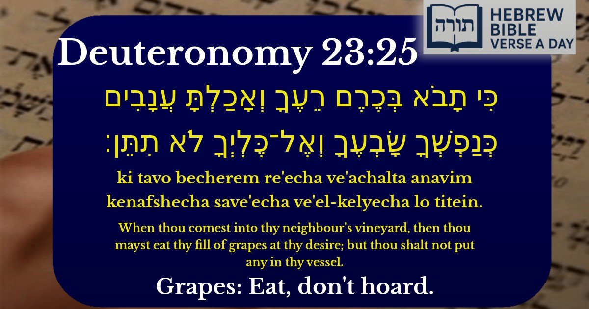 Deuteronomy 23:25 - דברים 23:25