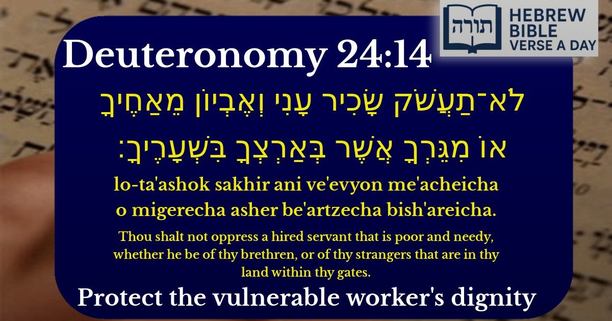 Deuteronomy 24:14 - דברים 24:14