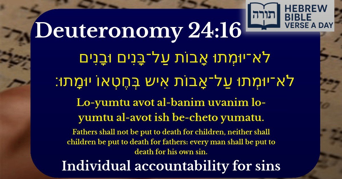 Deuteronomy 24:16 - דברים 24:16