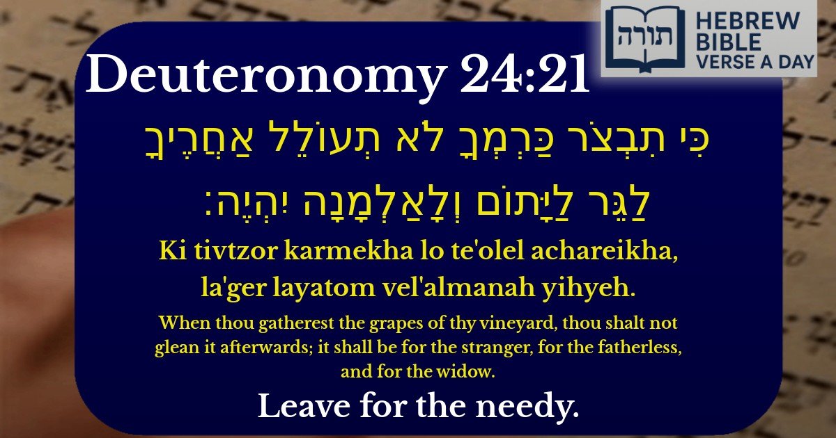 Deuteronomy 24:21 - דברים 24:21