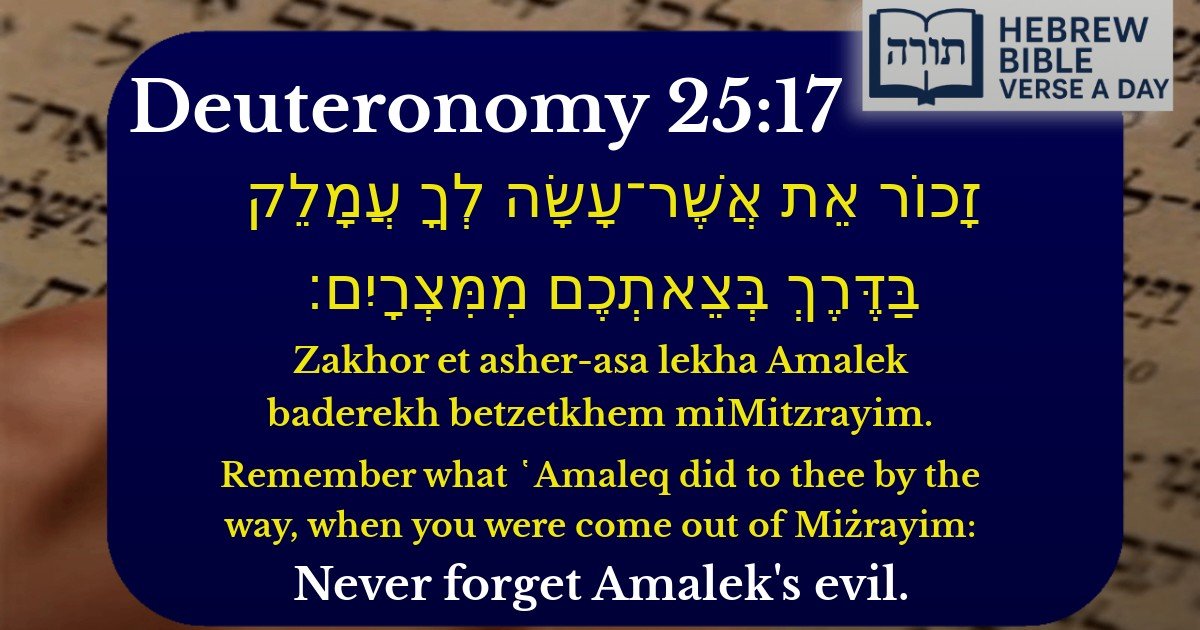 Deuteronomy 25:17 - דברים 25:17