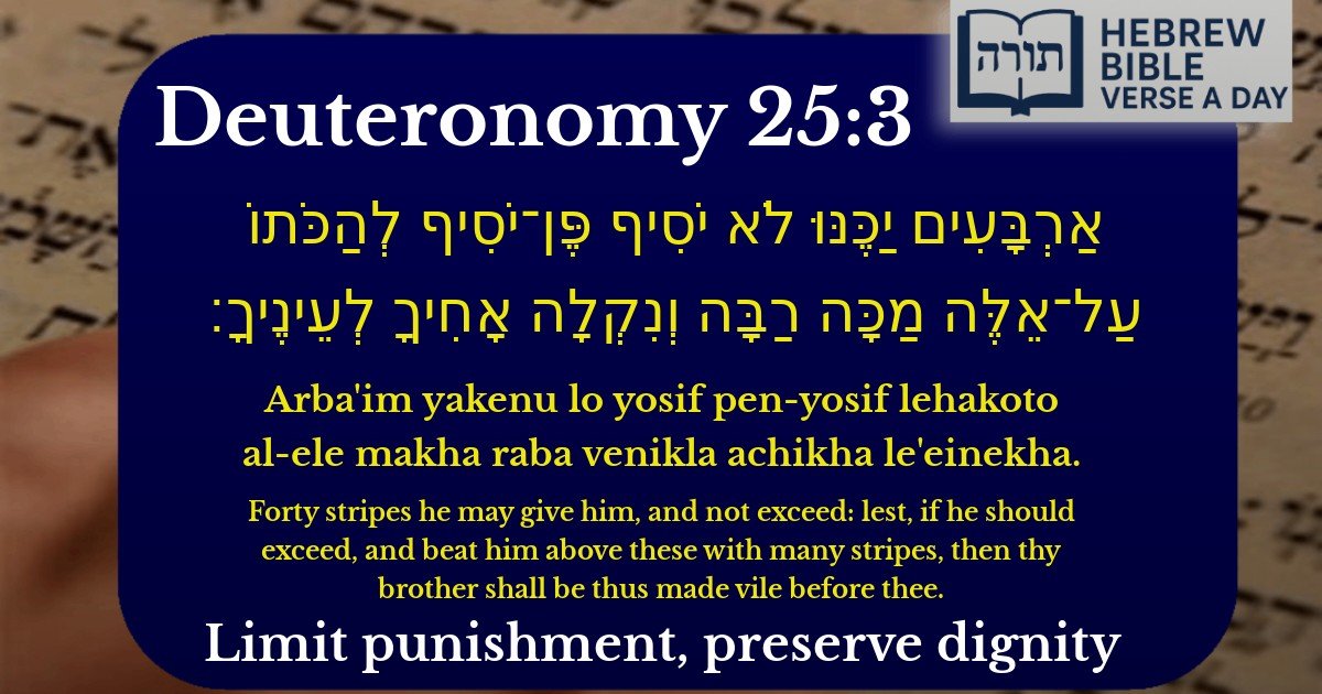 Deuteronomy 25:3 - דברים 25:3