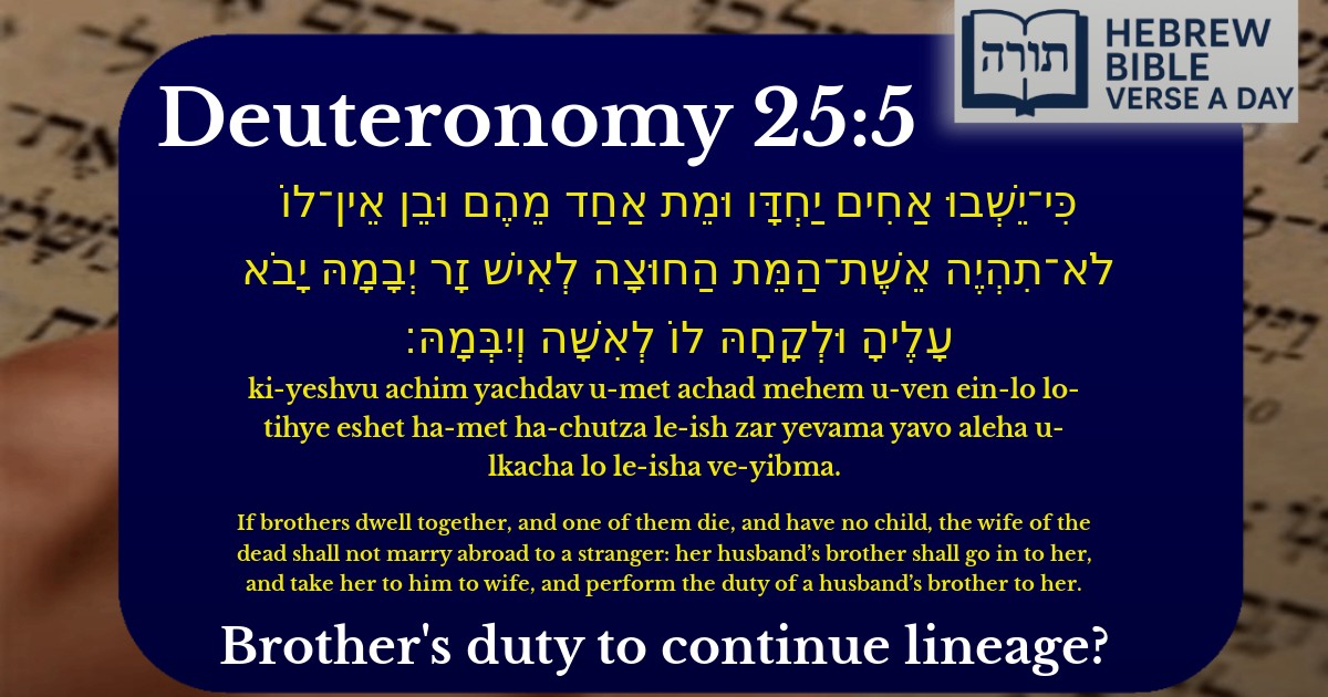 Deuteronomy 25:5 - דברים 25:5