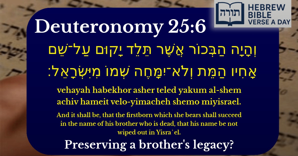 Deuteronomy 25:6 - דברים 25:6
