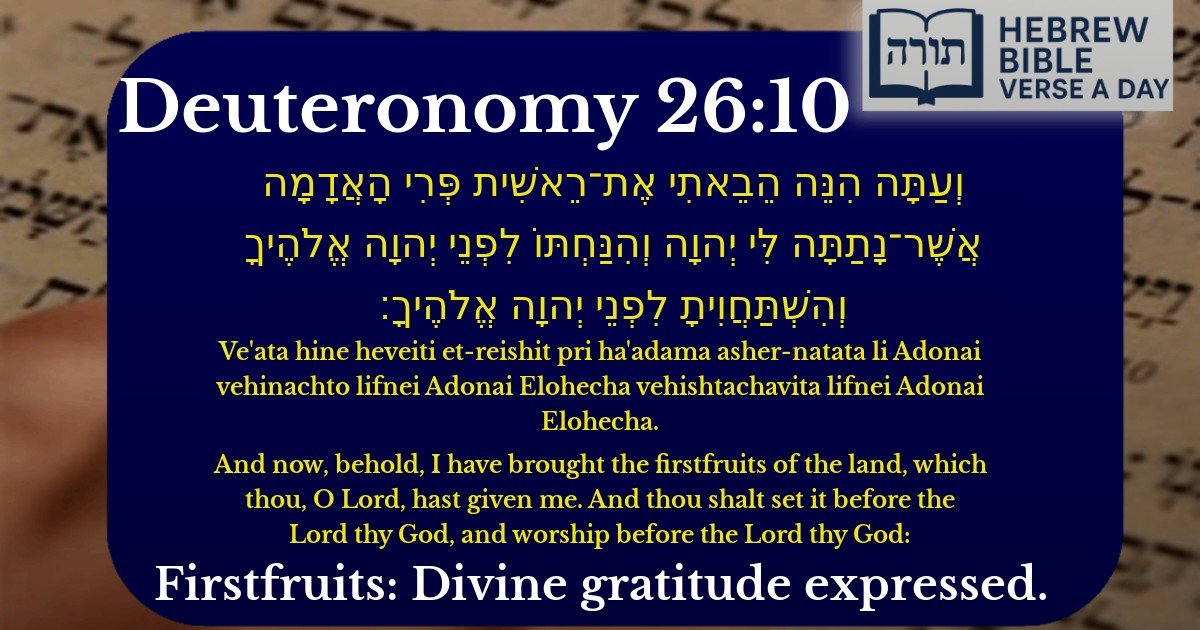 Deuteronomy 26:10 - דברים 26:10