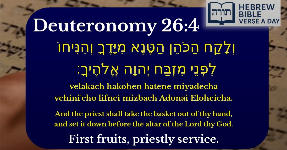 Deuteronomy 26:4 - דברים 26:4