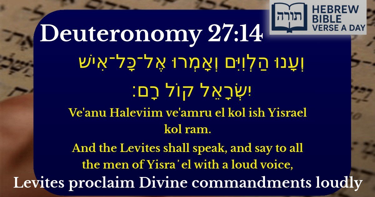 Deuteronomy 27:14 - דברים 27:14