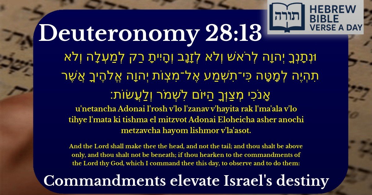 Deuteronomy 28:13 - דברים 28:13